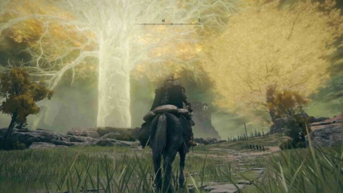 কেউ এলডেন রিংয়ে এরডট্রির উচ্চতা গণনা করেছেন