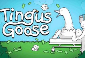 Агляд гульн Tingus Goose