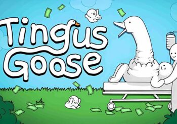 Агляд гульн Tingus Goose