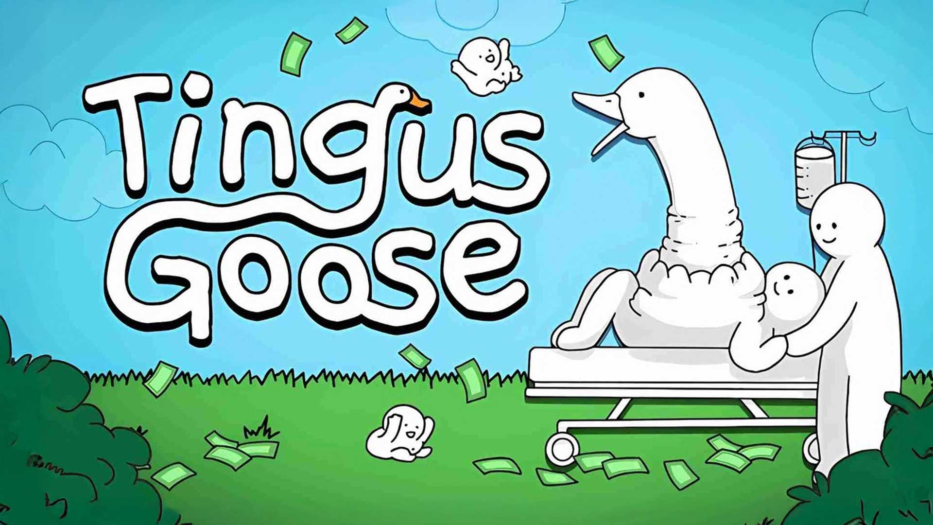 Агляд гульн Tingus Goose