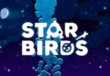 rishikimi Star Birds